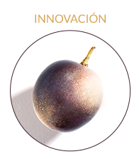 ingredient Vinergy